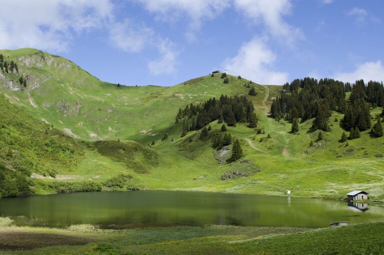 Traveling Through Literary Landscapes: Literary Trails and Author-Inspired Destinations