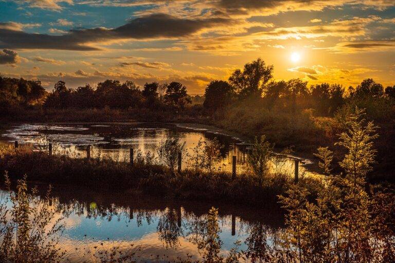 The Future of Hyperloop Travel: High-Speed Transportation Systems and Urban Mobility