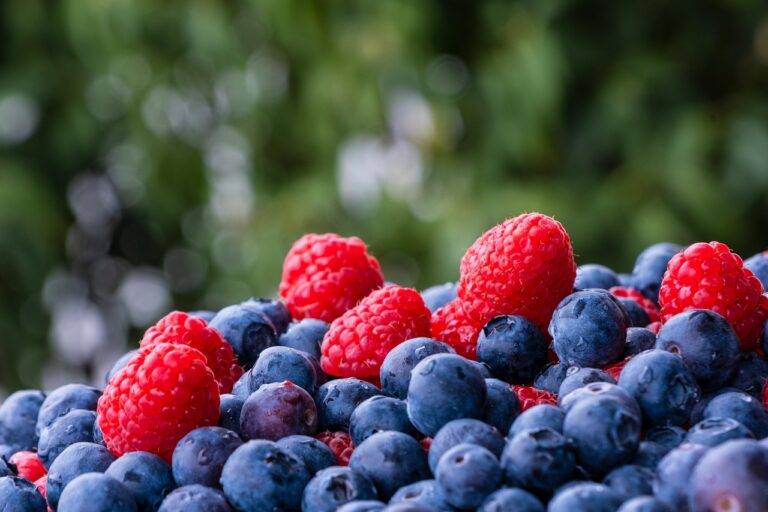How to Start a Food Truck Festival