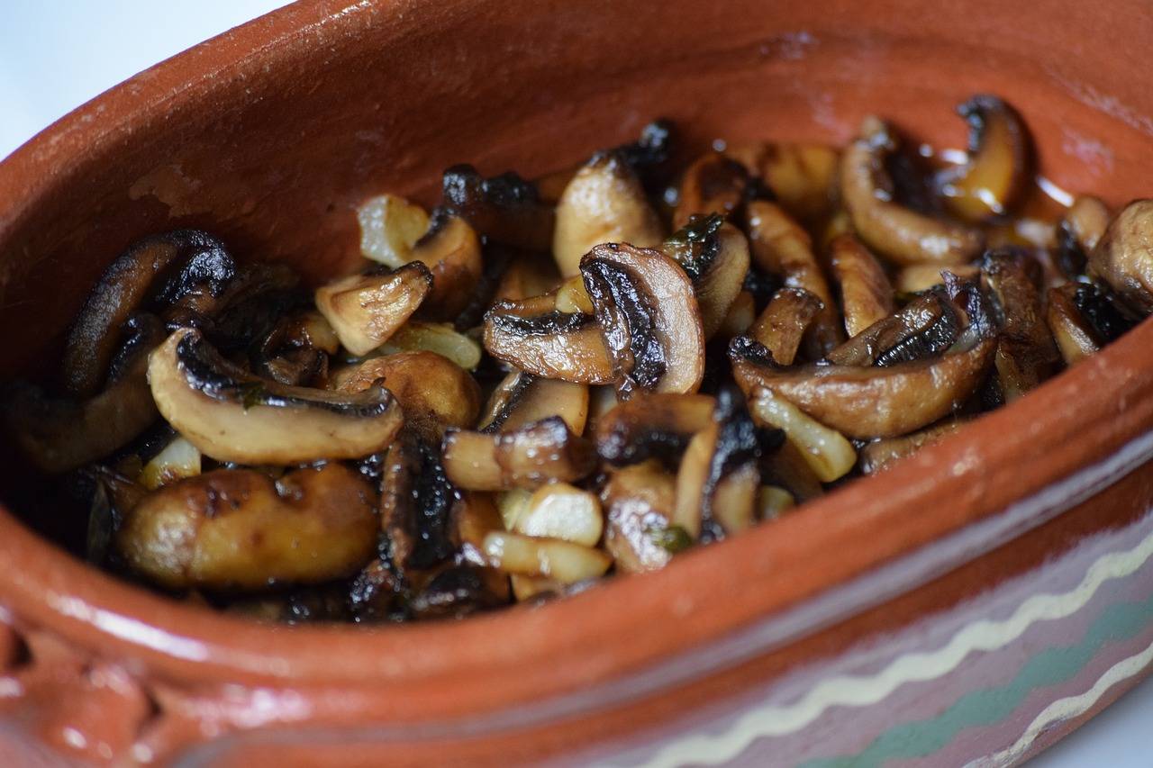 The Role of Nutritionists in Patient Care