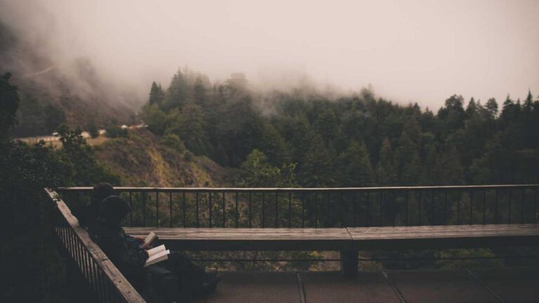 Is 11Xplay Pro Login India Registration Open For New Users This Month?